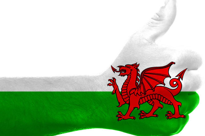 I will translate english to welsh and vice versa