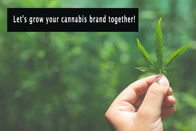 I will write a 1000 word article for your cannabis business