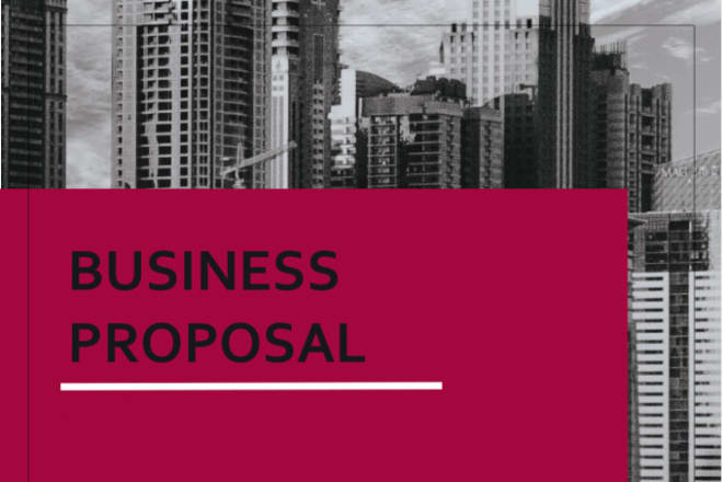 I will write professional business proposal