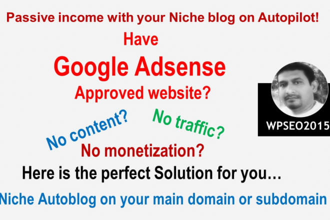 I will build niche autoblog for adsense approved websites