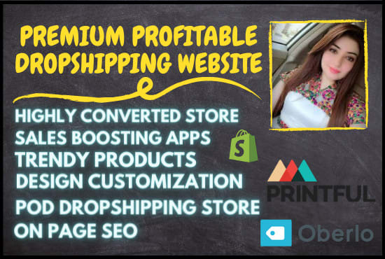 I will build you a premium high converting dropshipping shopify store or website
