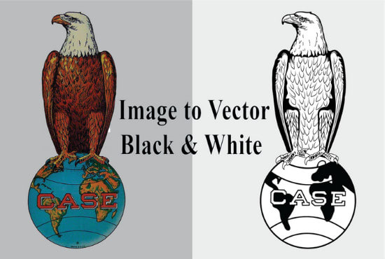 I will create vector line art from any image,sketch,photo,logo etc in 24 hours