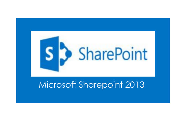 I will customize your sharepoint, sharepoint online, office 365 portal