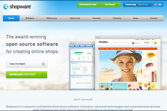 I will customize your shopware website