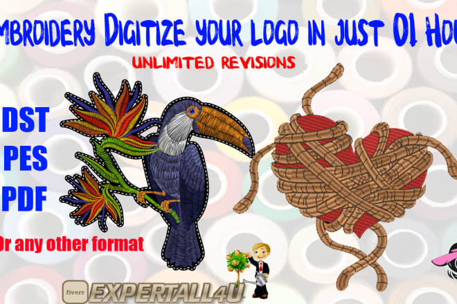 I will design logo and embroidery digitizing