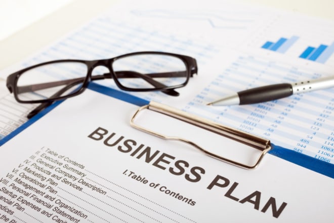 I will do any kind of business plan
