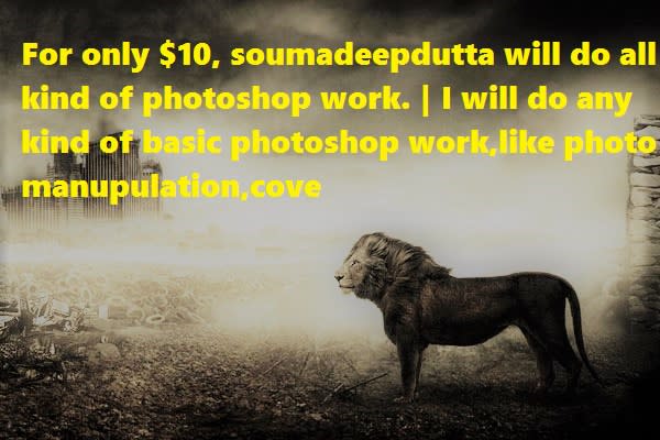 I will do best adobe photoshop editing in quick time