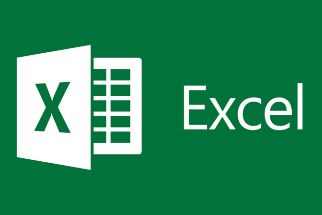 I will do excel data entry, pdf to excel