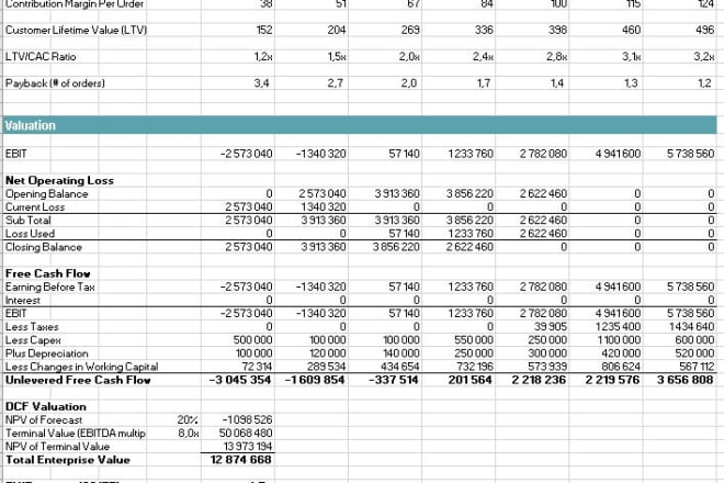 I will do financial forecasting, budgeting and valuations for ecommerce and startups