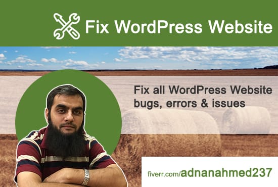 I will fix wordpress website bugs, errors, and issues