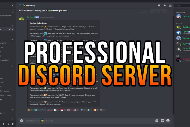 I will make a professional discord server within 24 hours