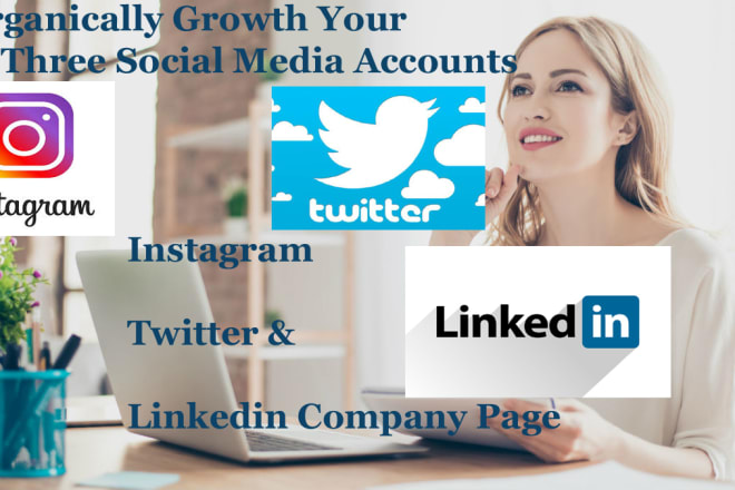 I will organically growth your three social media accounts