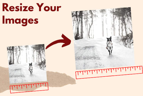 I will resize your images into required dimensions
