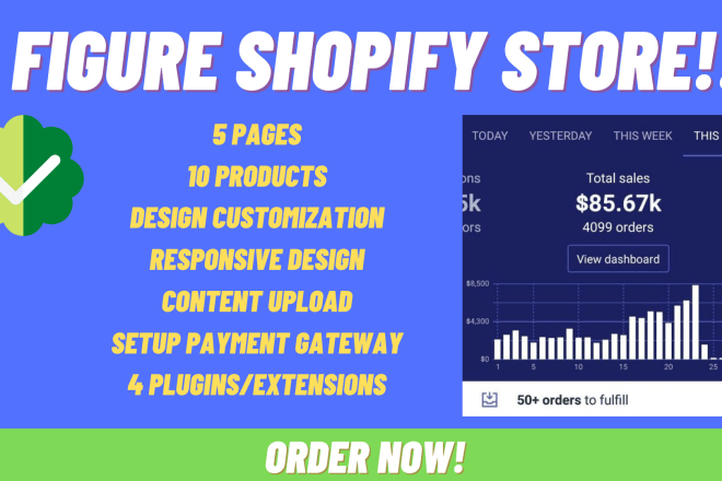 I will set up a 7 figure one product shopify ecommerce store