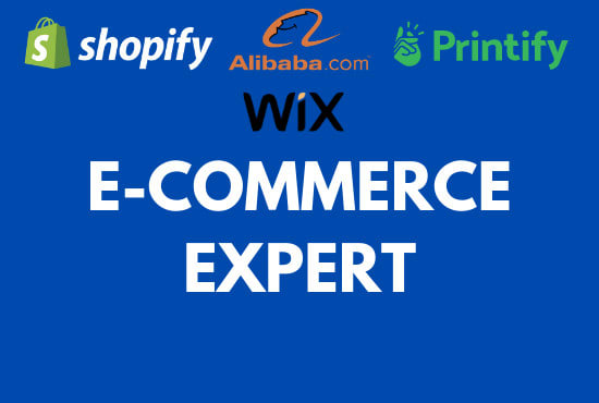 I will set up your ecommerce or dropshipping site