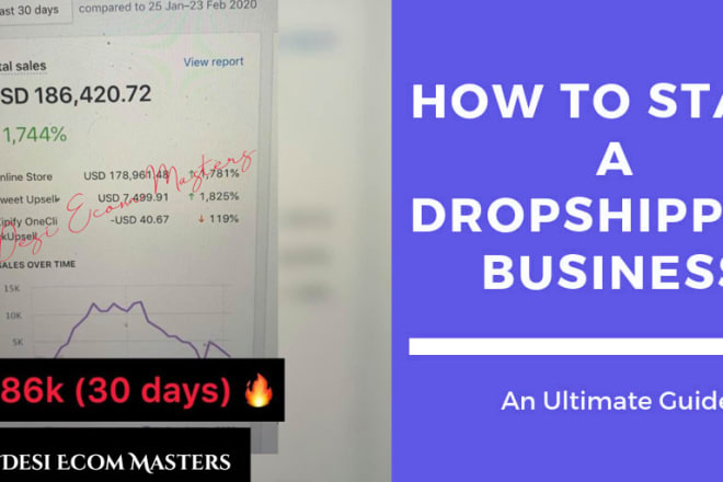 I will teach you dropshipping with shopify 1 on 1 training