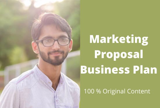 I will write a marketing proposal business plan for you