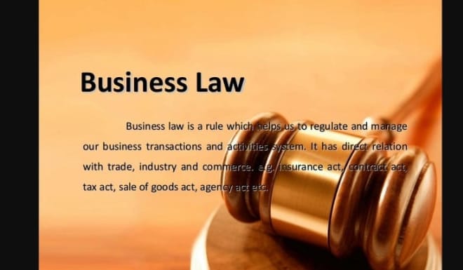 I will write case briefs, case summaries, legal opinions and contracts