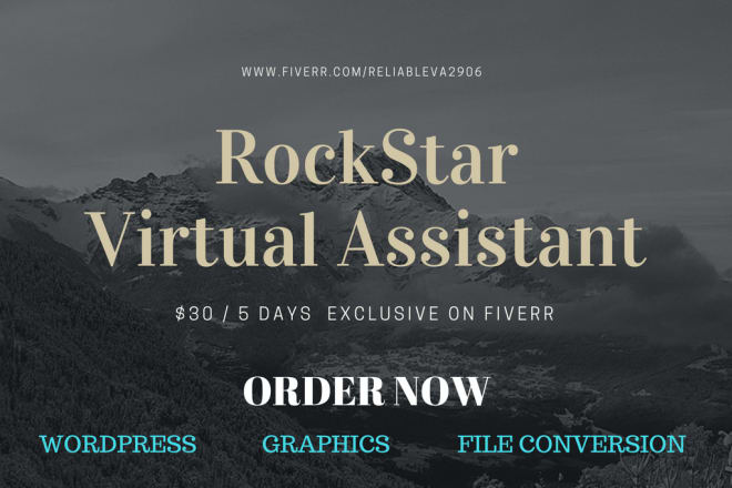 I will be a rockstar virtual assistant