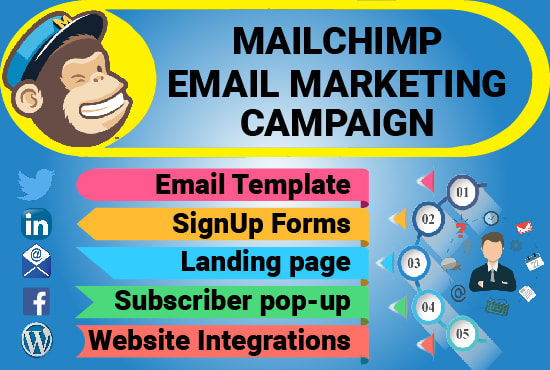 I will be your email marketing manager for mailchimp campaign