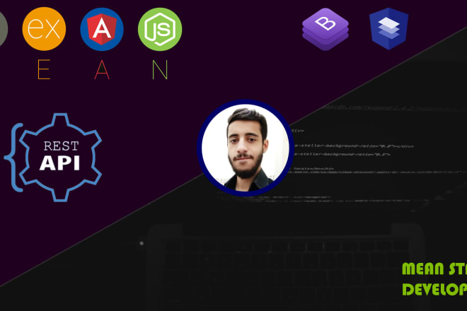 I will be your professional mean stack developer angular js node js