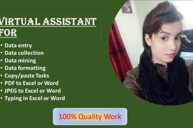 I will be your virtual assistant for data entry, data mining and copy paste