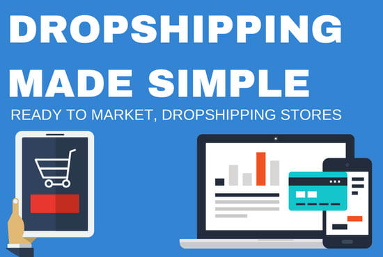 I will build a fully automated dropshipping woocommerce store