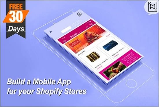 I will build custom app for your shopify store