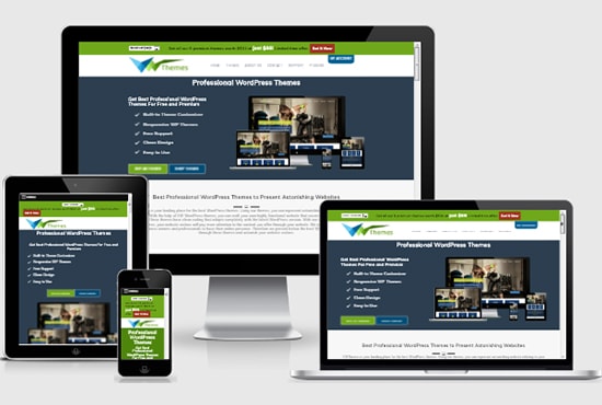 I will build responsive wordpress website design