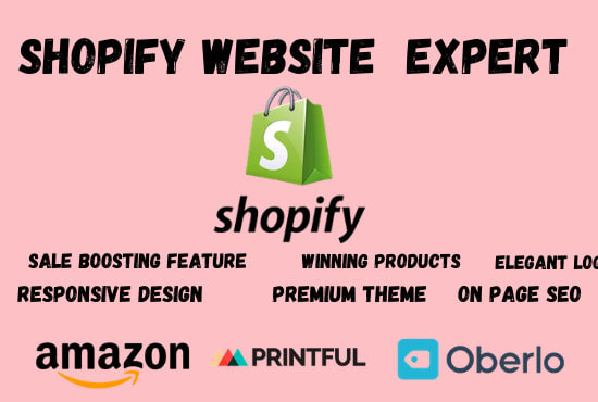 I will build with hot niche shopify website or dropshipping website