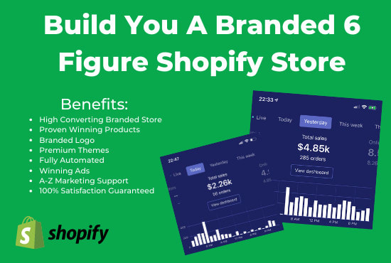 I will build you a 10k per month dropshipping shopify store website