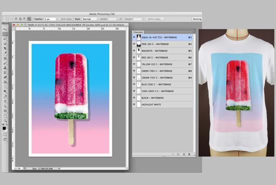 I will color separation screen printing vector art tshirt design