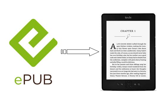 I will convert your book to epub