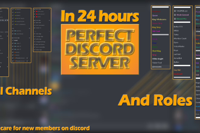 I will create a perfect discord server within 24 hours
