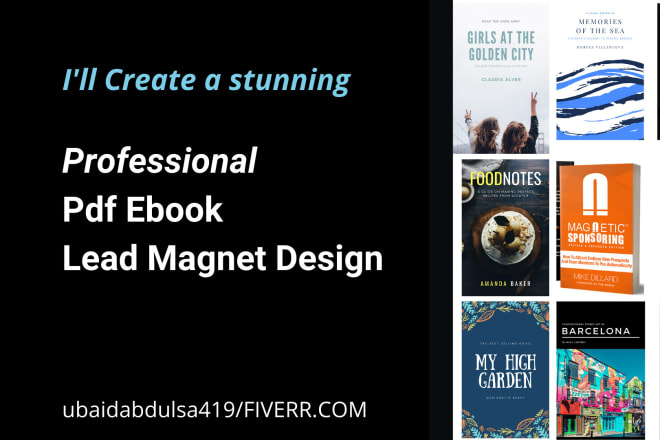 I will create professional pdf ebook lead magnet design