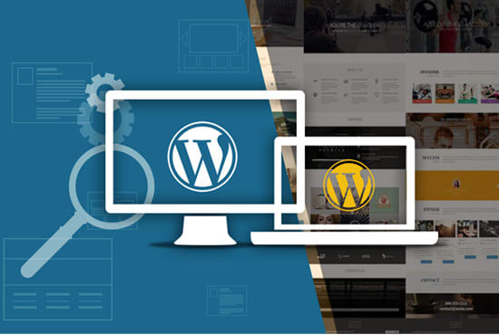 I will create professional wordpress blogs and business websites