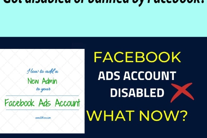 I will create verified facebook business manager account, ads account