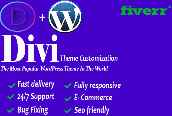 I will customize divi wordpress website using divi builder