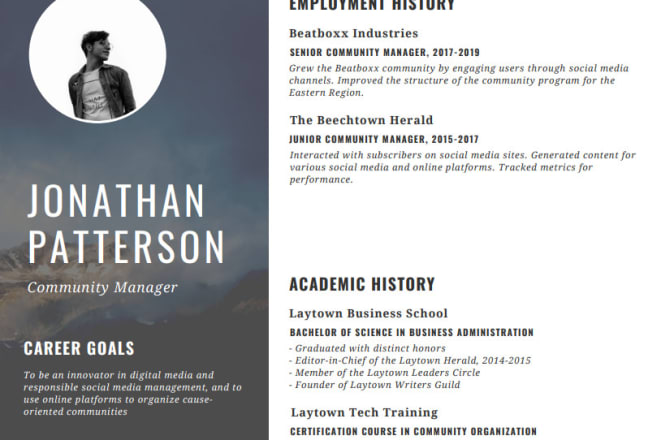 I will design a professional resume or cv for your job