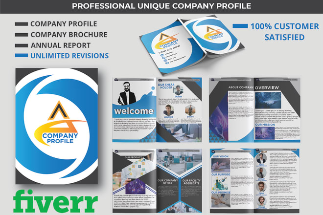I will design company profile, annual report, with custom graphics