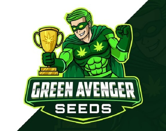 I will design green contest logo in 24 hours