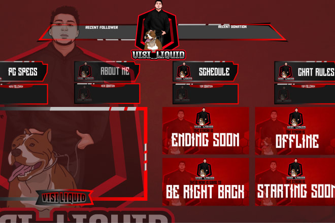 I will design twitch or fb overlay and logo for your stream