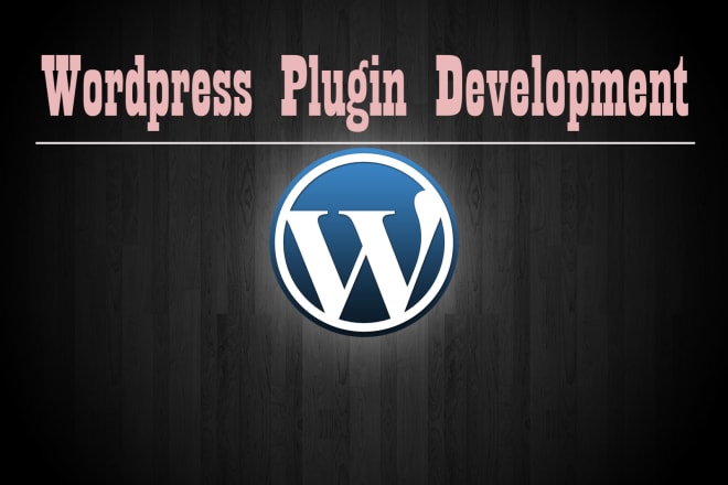 I will develop custom plugins, widgets and wordpress themes