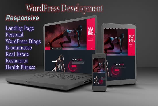 I will develop professional wordpress website design or blog