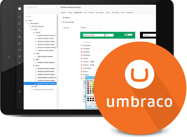 I will develop umbraco, nop commerce cms development