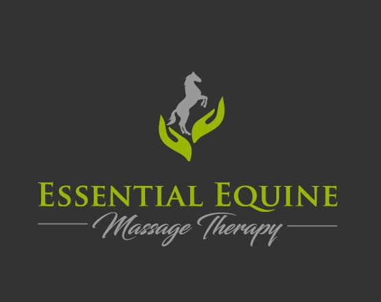 I will do creative equine massage therapy logo