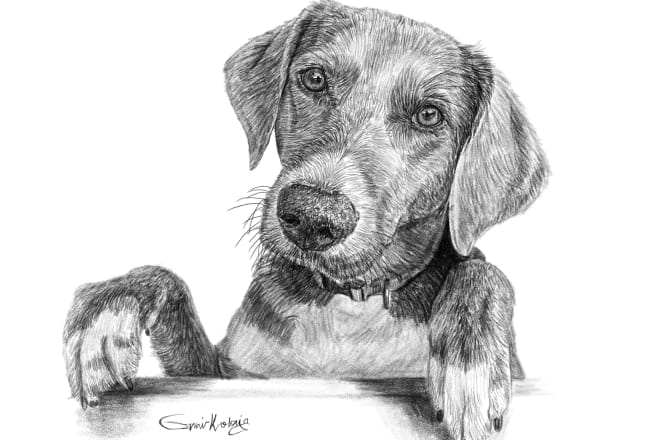 I will do custom pet portrait, dog portrait, cat portrait drawing