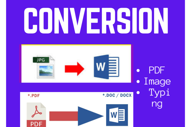 I will do data entry and scanned PDF conversion service