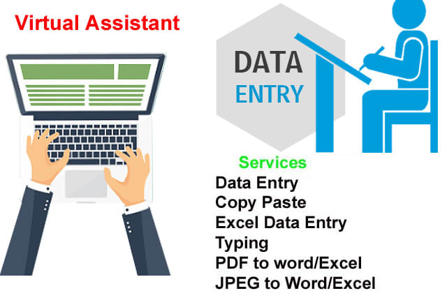 I will do data entry data analysis