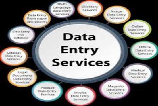 I will do data entry expert job